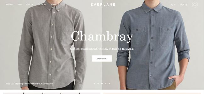 online store - everlane