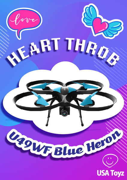 This Heartthrob of a Blue Heron may be the one for you. Take this quiz to answer your questions about different drone models; which USA Toyz drone is right for you. Experience the thrill being in the pilot seat to find out if beginner drone, FPV drone or camera drone fits you best.