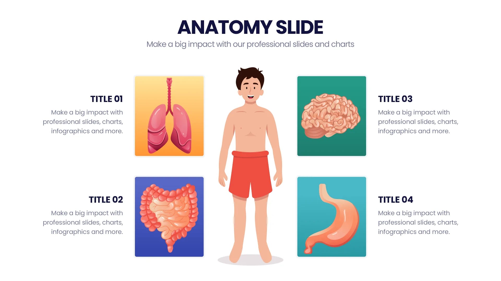 Anatomy Powerpoint Infographics Anatomy Infographic Templates Powerpointx 