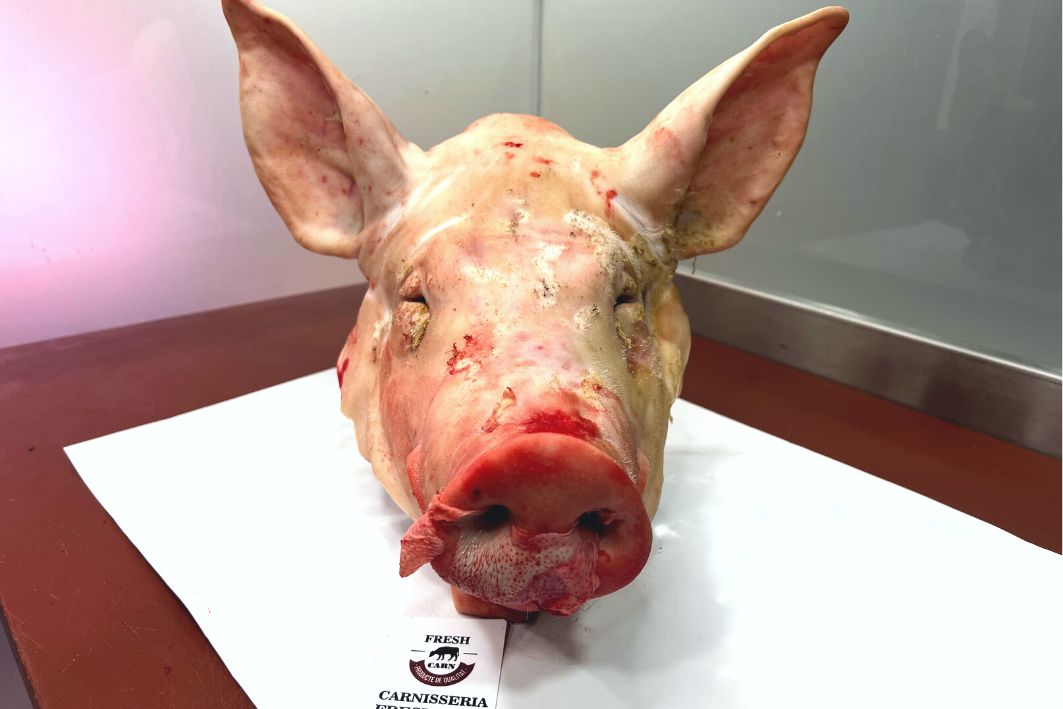 Cabeza de cerdo – Carne Deliciosa, .