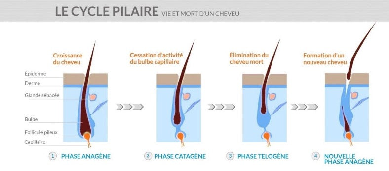 Compléments alimentaires, chute des cheveux, pousse des cheveux