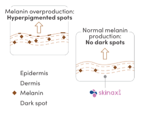 Collagène, cernes, taches de vieillissement, vitamines