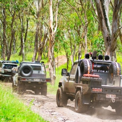 TRED Trips Gordon Country 3 4wd convoy