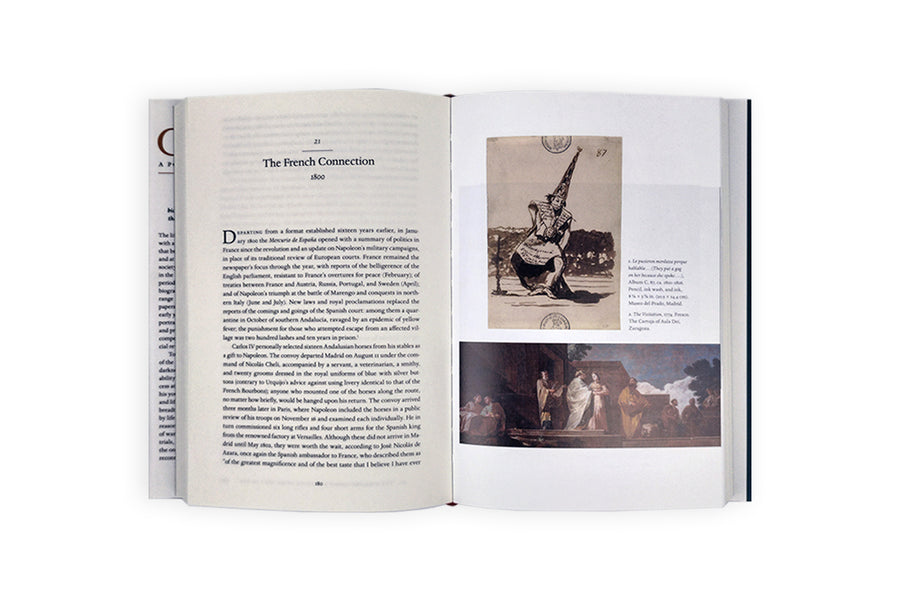 Goya: A Portrait of the Artist - Janis Tomlinson