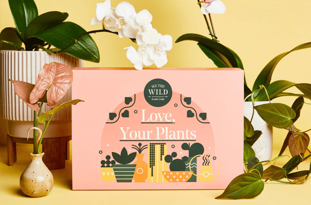 Love, Your Plants Giftbox