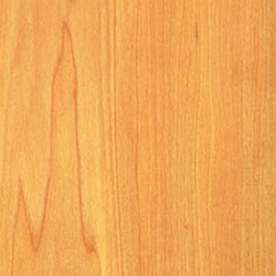 Tulipwood