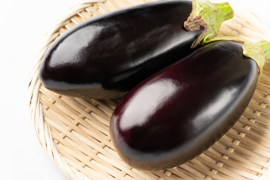 Solanum aethiopicum (african scarlet eggplant)