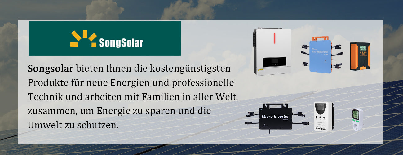 6200W 48V Hybrid-Wechselrichter Songsolar Großhandel