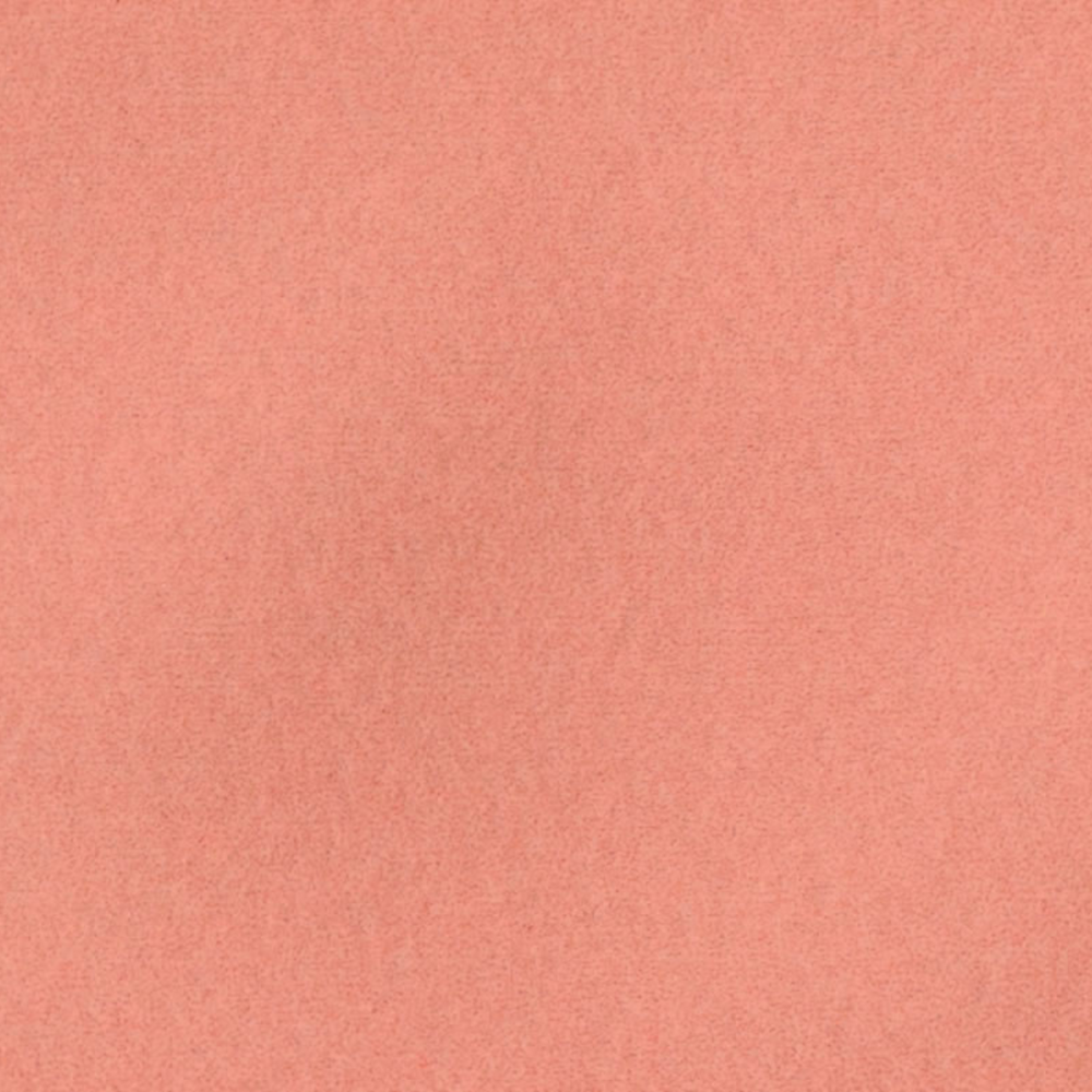 media 13