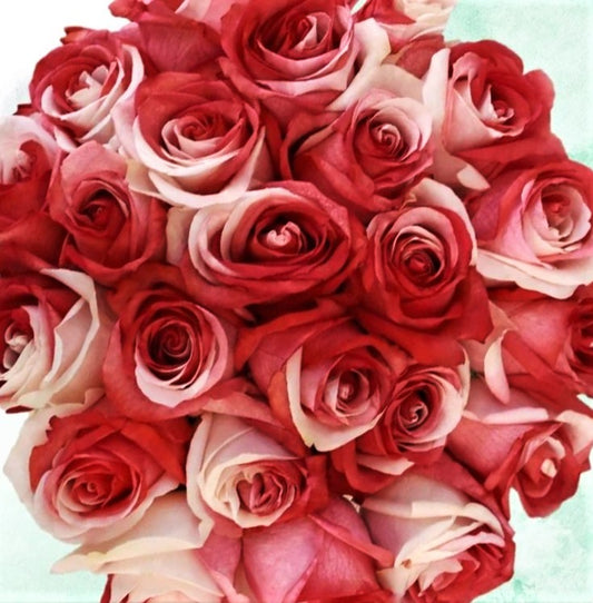 Elite Dozen Red Rose Bouquet, 1 ct - Harris Teeter