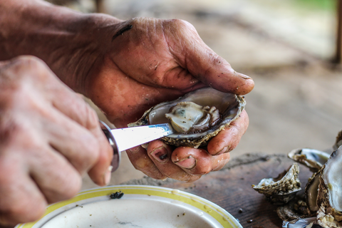 Closeup of a hand holding a knife to shuck an oyster