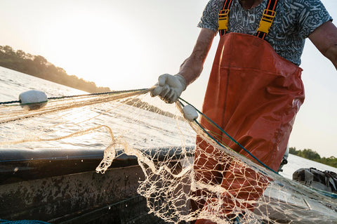 a fisherman on a boat hauling in a net full of fish