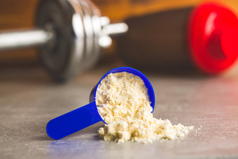 Whey protein powder in a scoop.