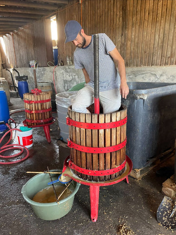 Nacho, the new-generation of artisan winemaker in Itata, foot-pressing in a pristine Breton top