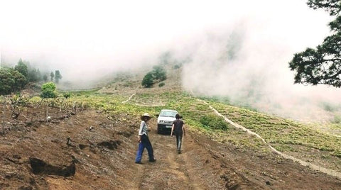 Viki Torres and friend walking through La Palma