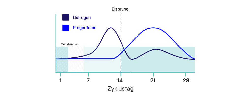 PMS Symptome Hormone Zyklus Menstruation