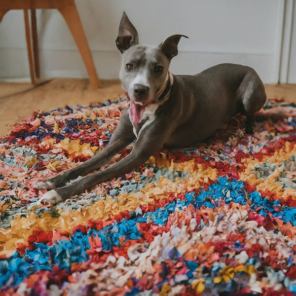 Pet friendly Azilal Rug