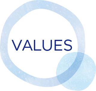 Values Icon