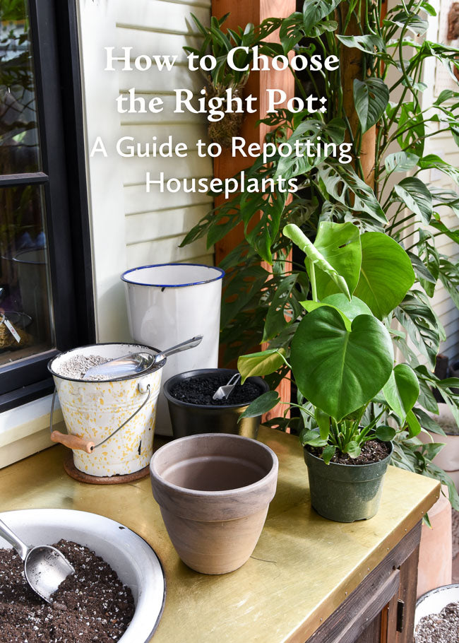 Enlarging Plant Pots : growing up planter