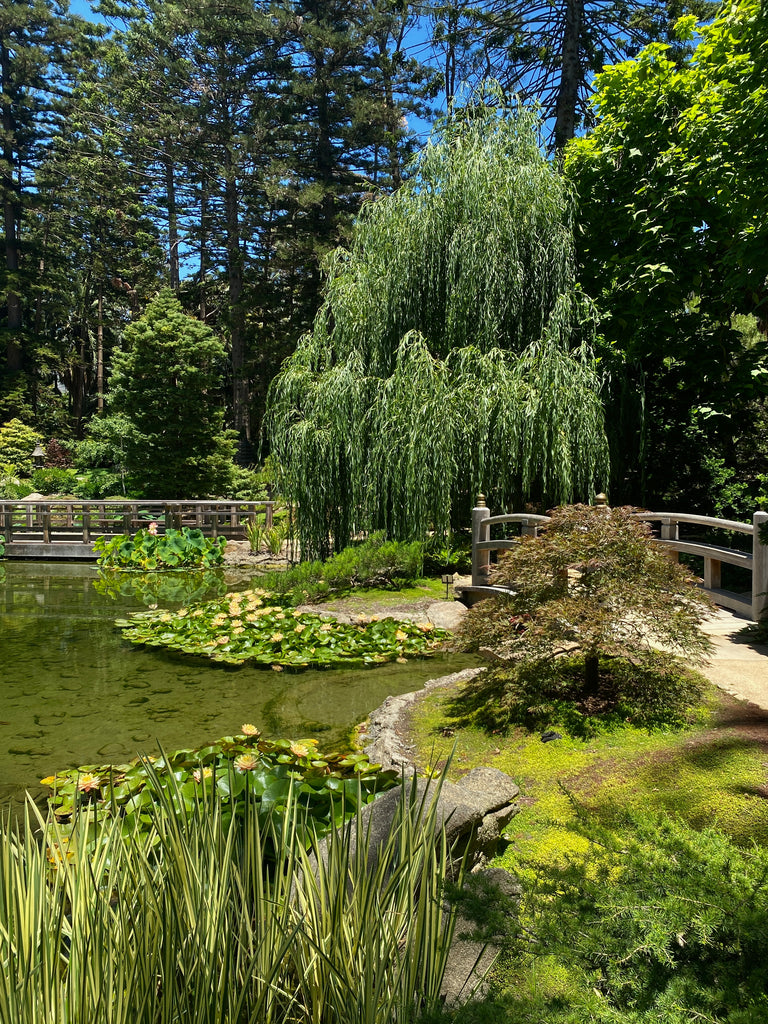 Japanese Garden at Lotusland Santa Barbara