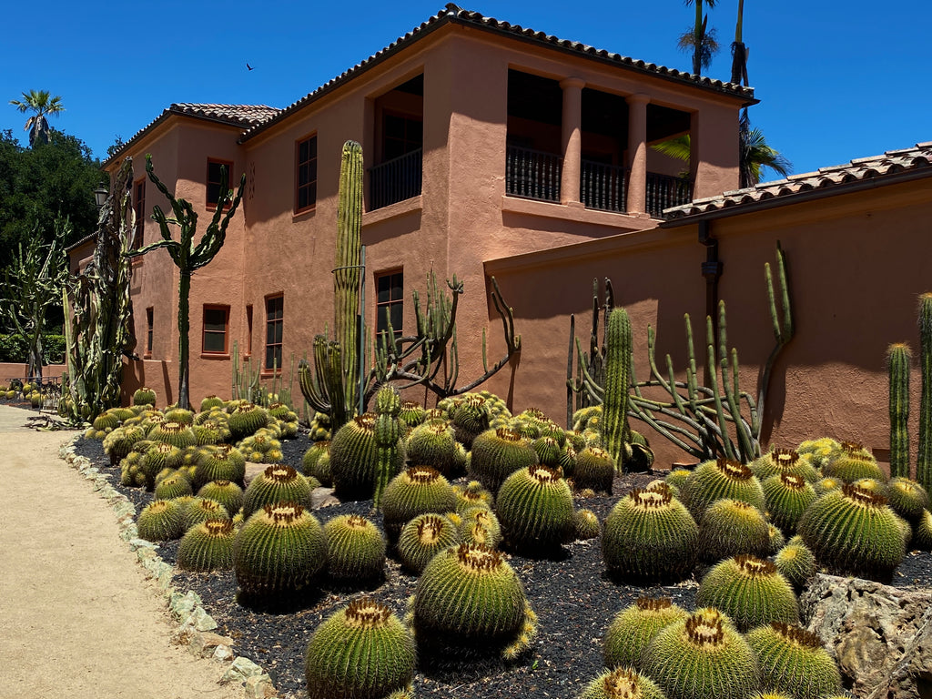 Barrel Cactus Lotusland House