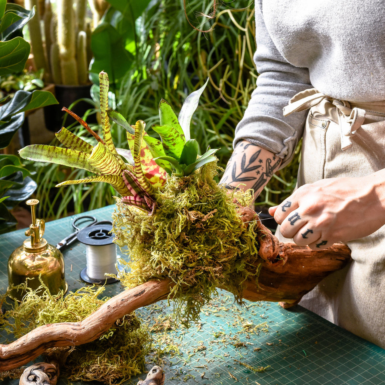 Pistils Nursery Plants Pottery More From Portland Ore