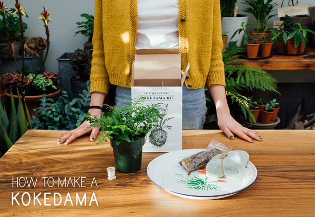 DIY: make your own Kokedama