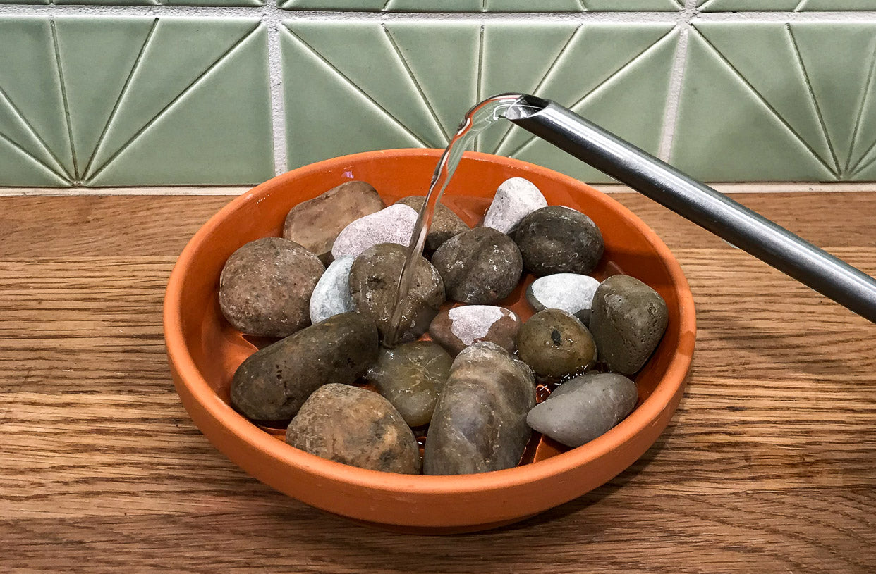 Creating a Pebble Tray - O'Toole's Garden Centers