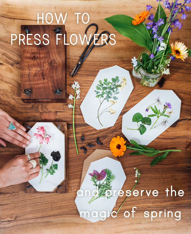 How to Dry & Press Flowers: A Complete Guide - Blossoming Gifts