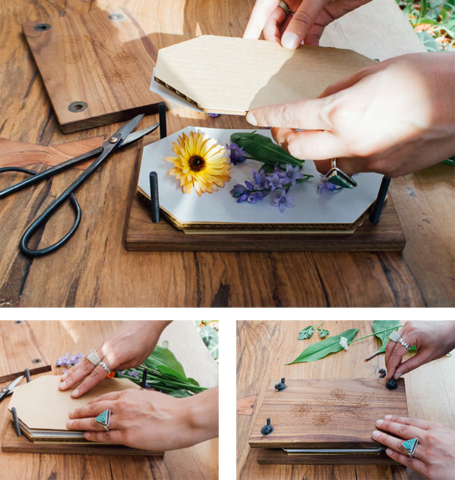 How To Press Flowers in The Microwave - Studio DIY