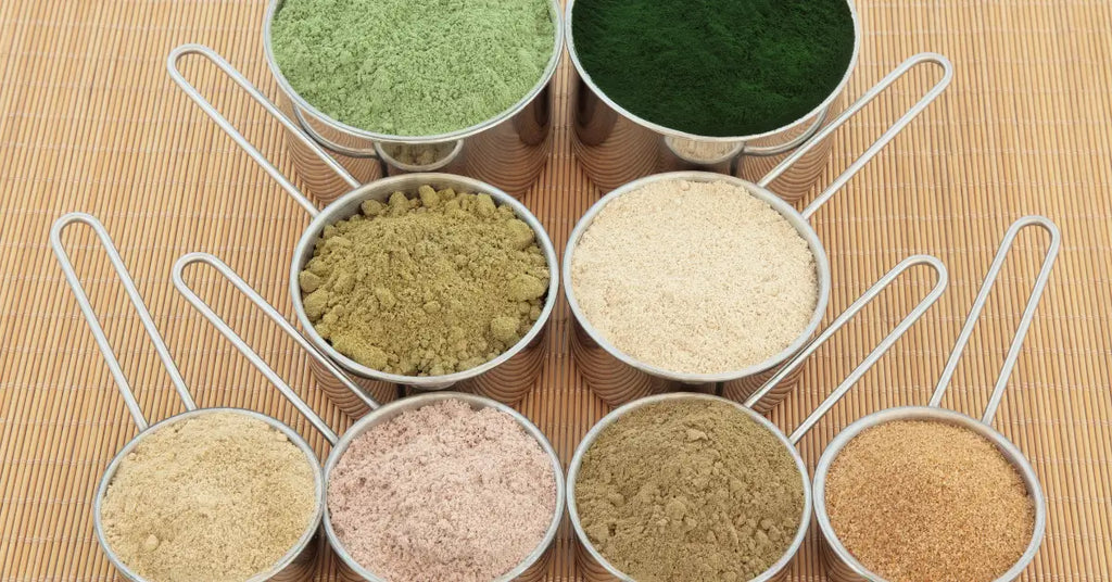 Variety of protein powders in scoops arranged neatly, showing different types of protein powder for weight gain.