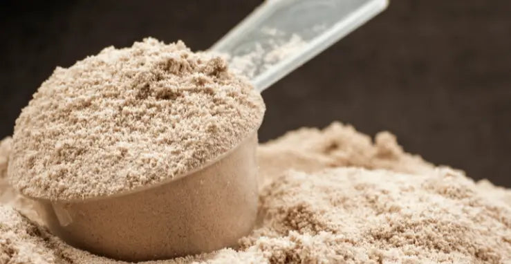 A scoop of plant-based protein powder, suggesting a focus on digestibility.