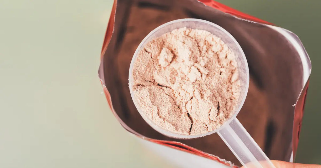 Close-up of a scoop of protein powder, showing proper storage technique.