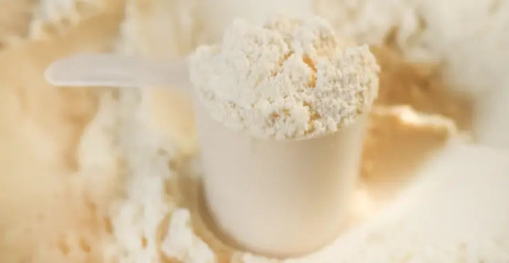 Close-up of a scoop overflowing with vegan protein powder, representing types available.