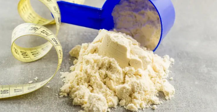 Plant protein powder spilling from a scoop with a measuring tape, questioning its meal replacement value.