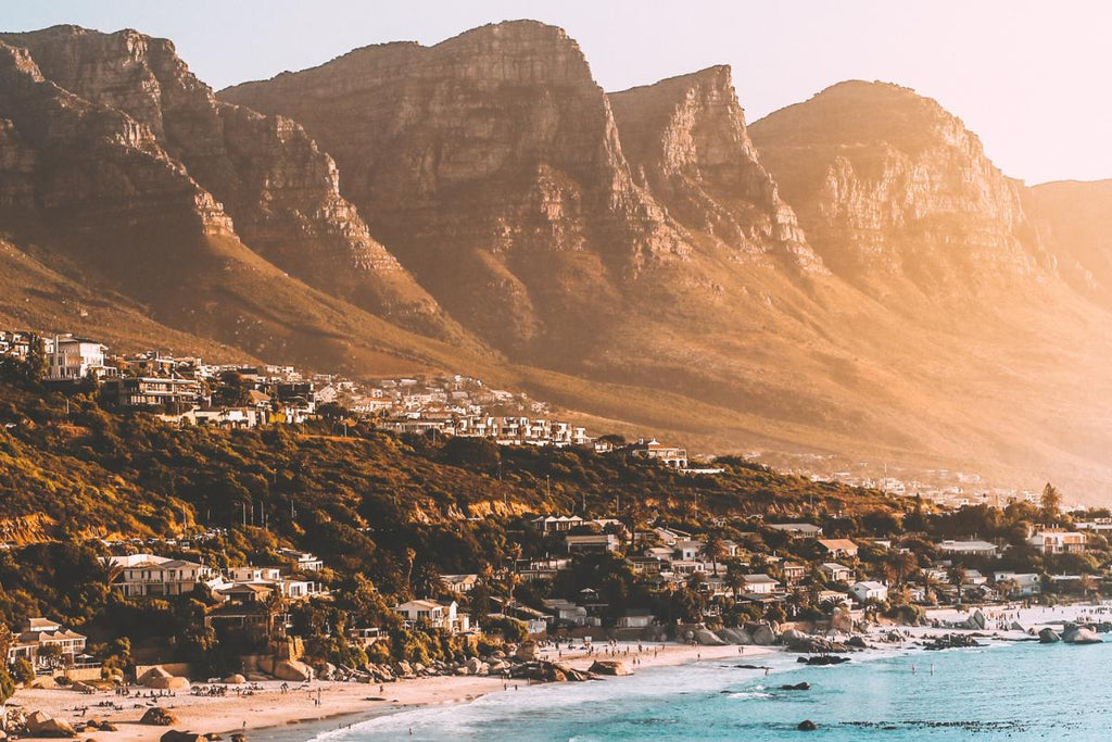 Image of 12 Apostles in Cape Town South Africa - Flower Guy