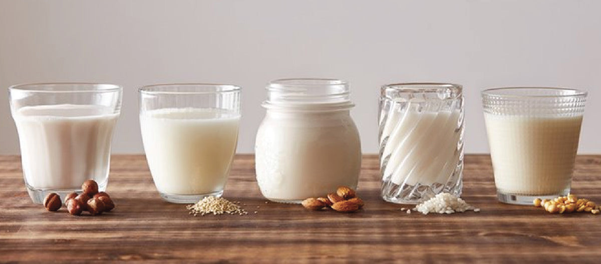 Different types of milk