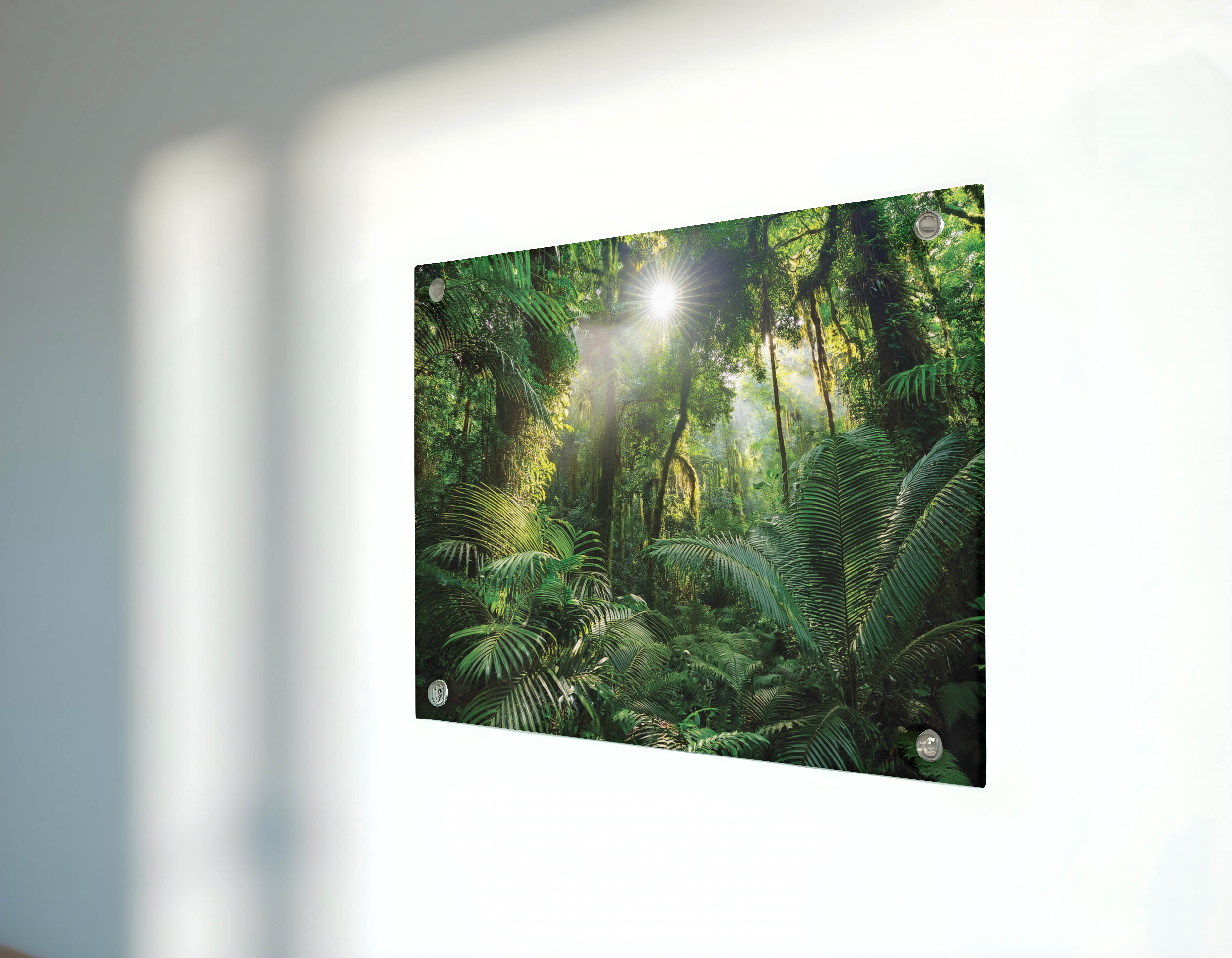 Emerald Jungle Adventure – Transform Your Space into a Lush Rainforest Escape