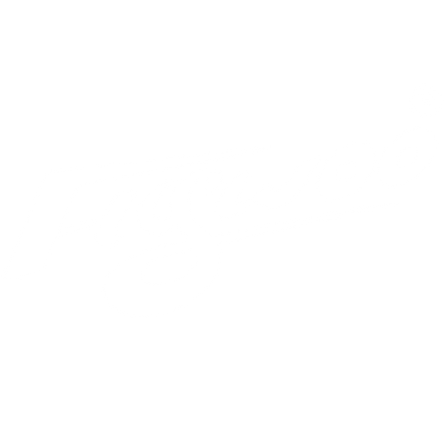 FLYWOO