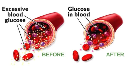 SFRCORD® Natural Detox & Body Sculpting Blood Sugar Drops