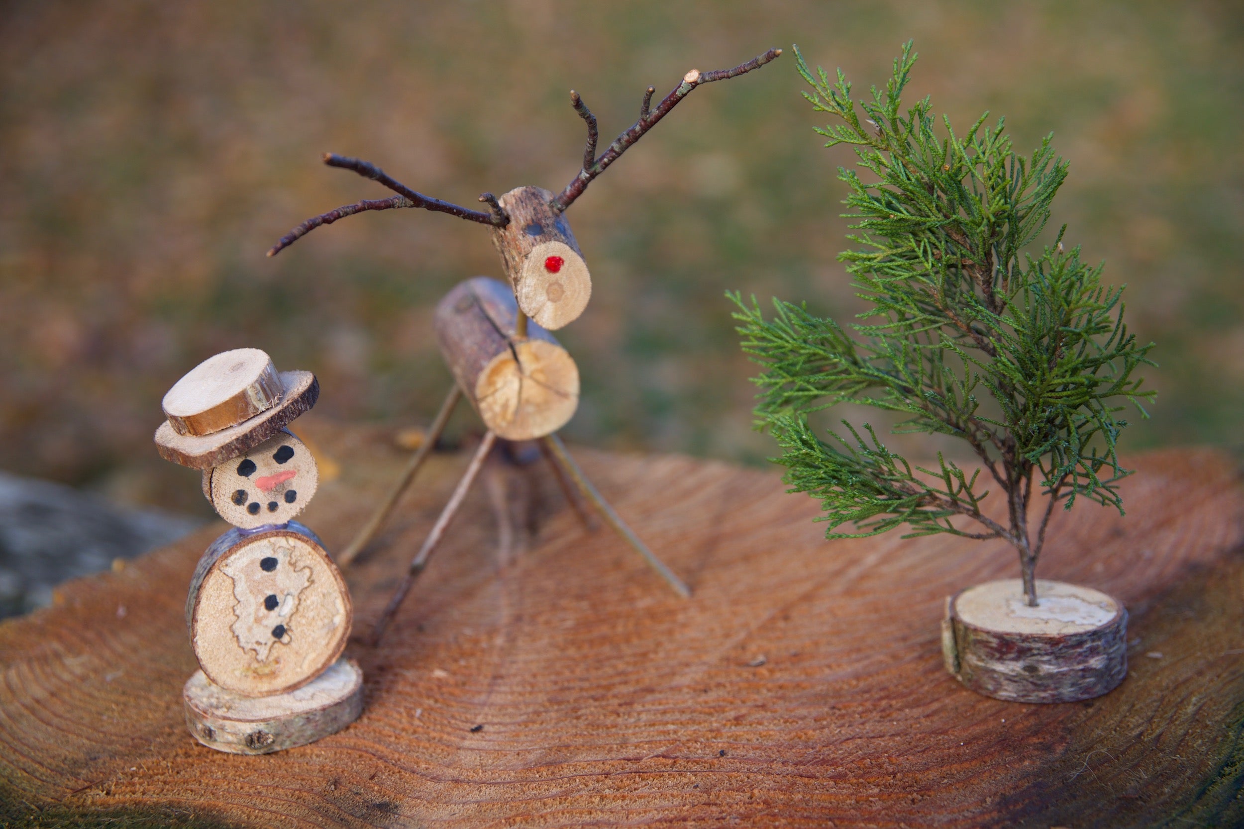Christmas Craft Ideas For Kids - Wooden Reindeer Winter Scene
