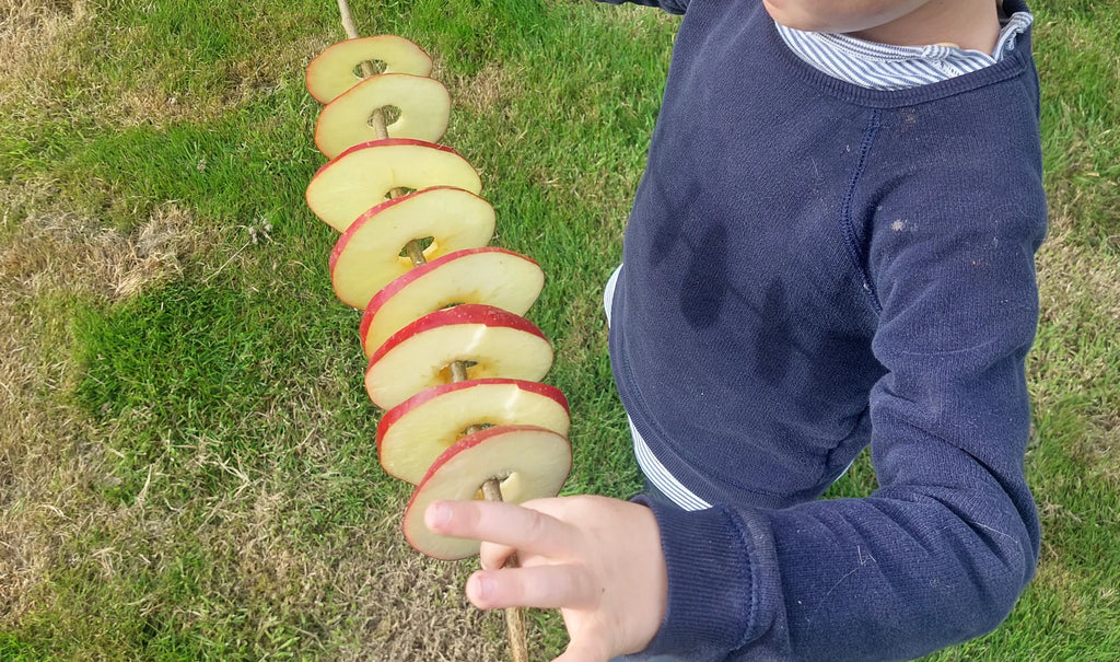 Apple ring Craft | Conscious Craft