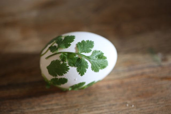 flower & leafe print egg