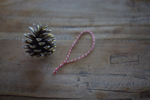 Craft Ideas For Kids | Christmas Pinecone Ornaments | Conscious Craft