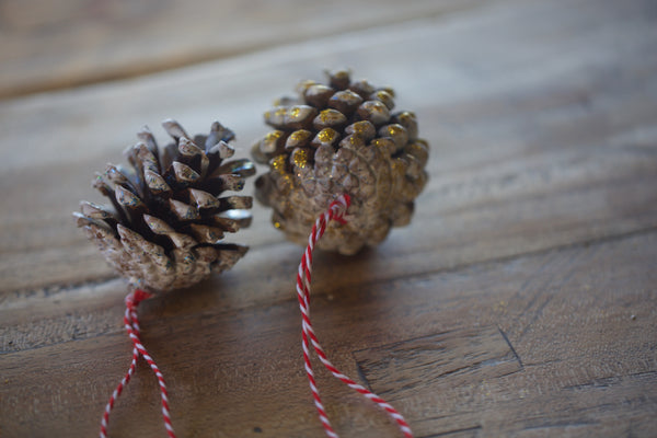 Craft Ideas For Kids | Christmas Pinecone Ornaments | Conscious Craft