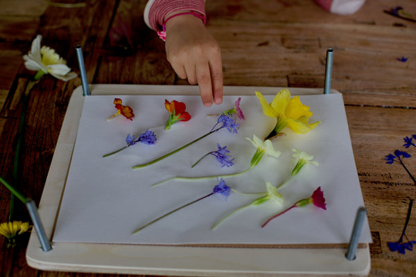 Craft Ideas for Kids | Pressed flower Art | Conscious Craft