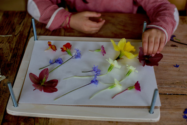 Craft Ideas for Kids | Pressed flower Art | Conscious Craft