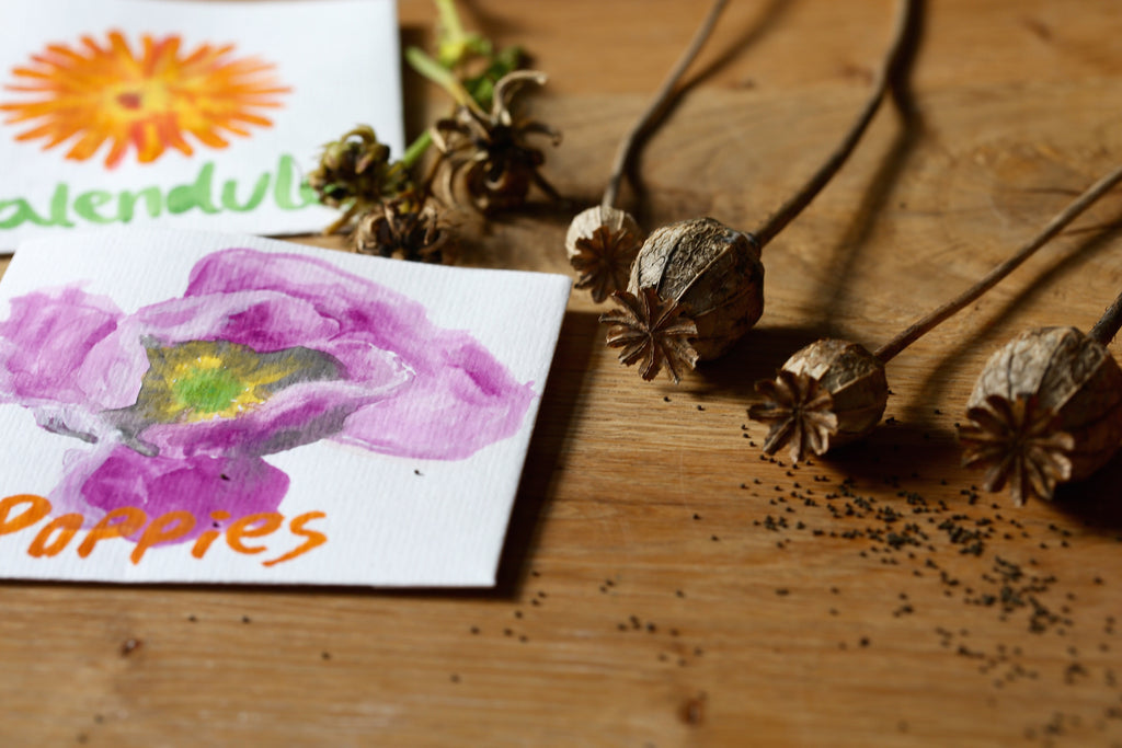 Craft Ideas for Kids - Using Seeds, Flowers & Clay – Conscious Craft