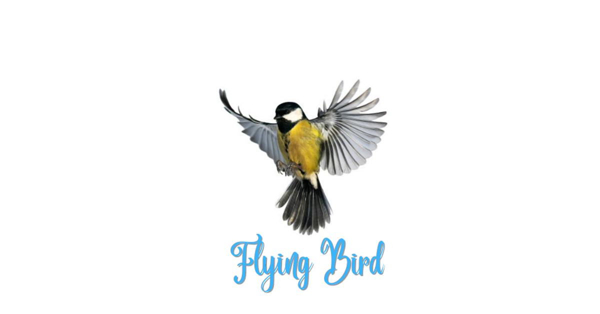 flyingbird-2.com