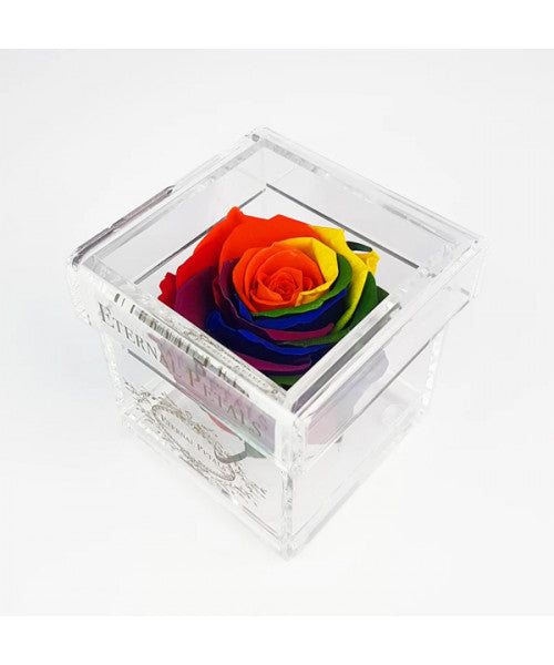 Billede af Solo Rainbow - Roser som holder ca. 1 år